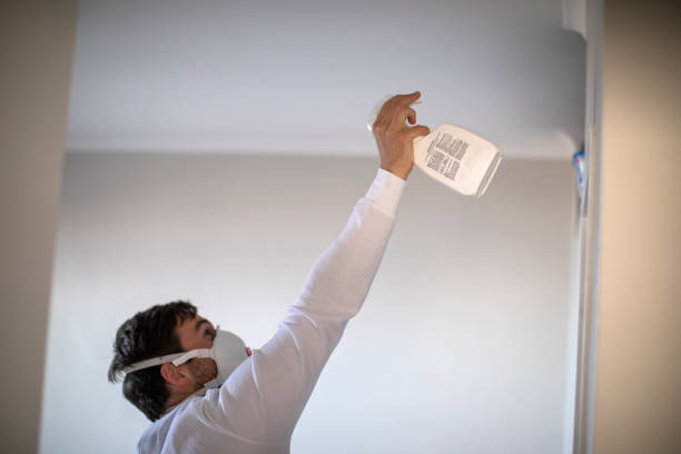 Best Mold Remediation  in Paulina, LA